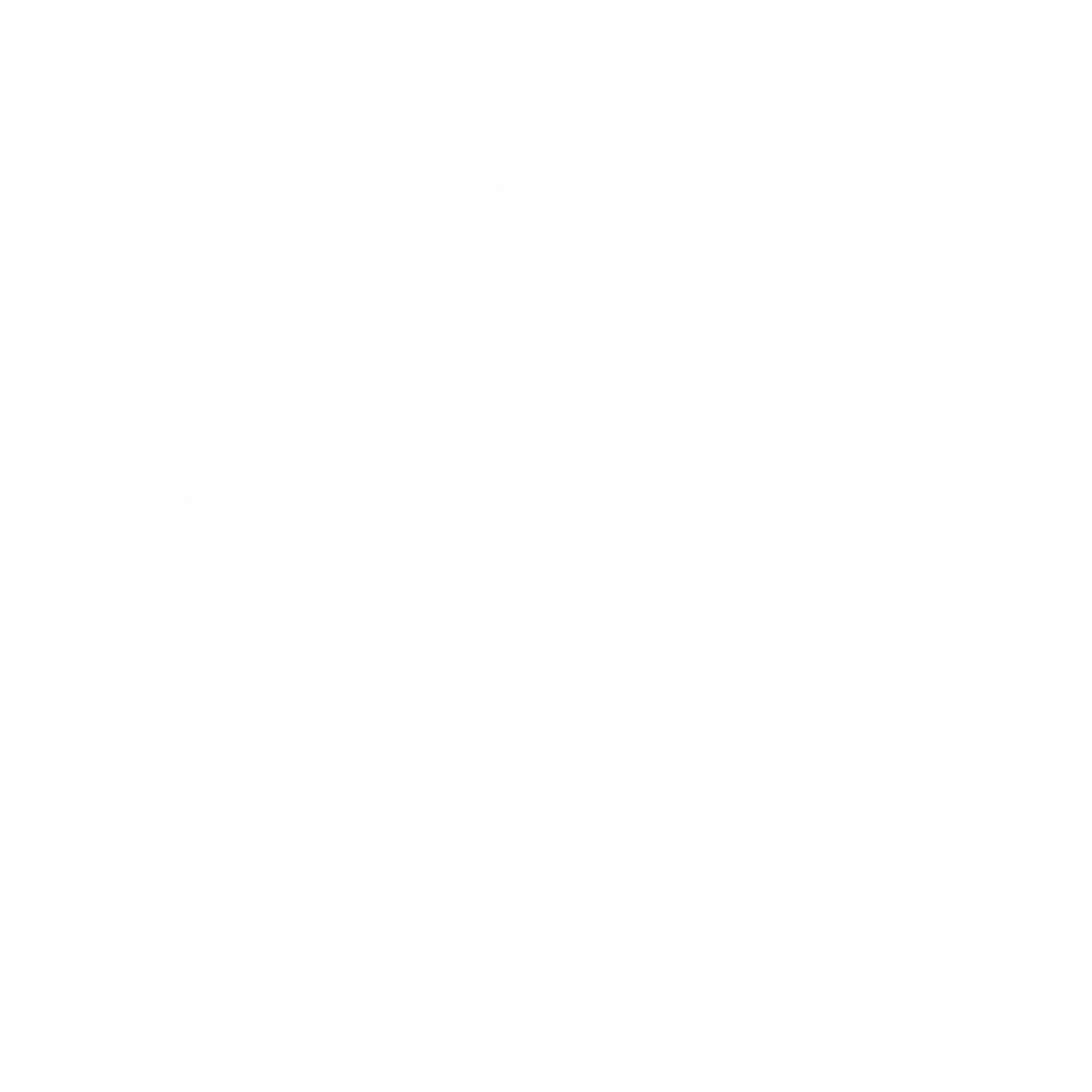 Wordpress Logo